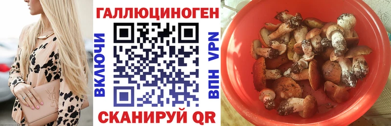 Псилоцибиновые грибы Magic Shrooms  где купить   Губкинский 