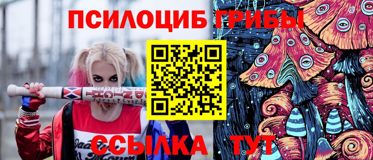 Губкинский  Псилоцибиновые грибы мицелий  Вход с VPN 